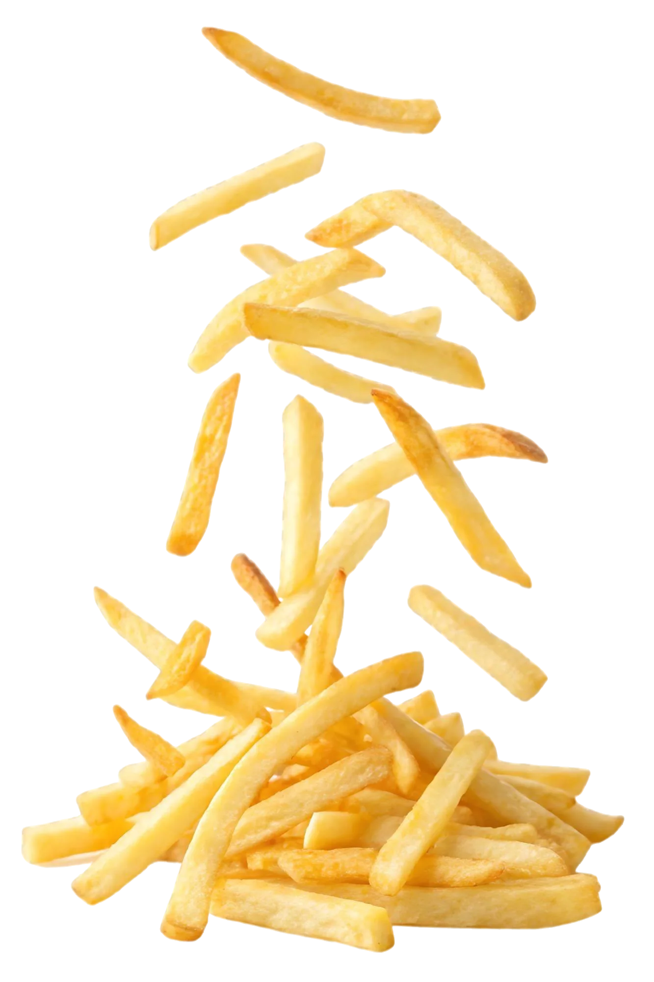 Frites (dose)